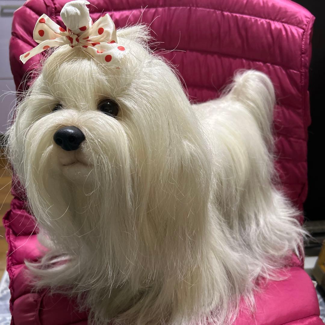 ドレッシーペット　ぬいぐるみ　犬　マルチーズ　タグ付き❣️