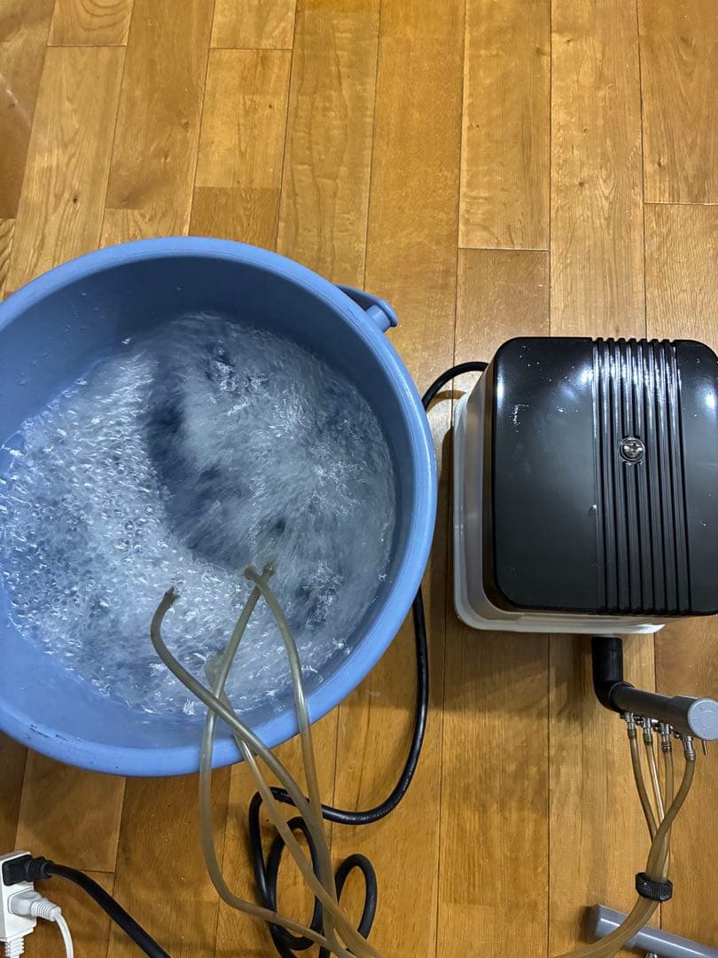 浄化槽　ブロワ　エアポンプ　6連コック付　安永エアーポンプ　LP-60EN