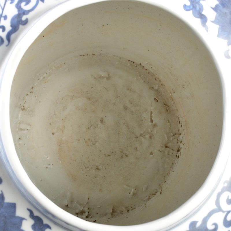 中国　青花　花卉魚藻文瓶　壷　C　R5596C