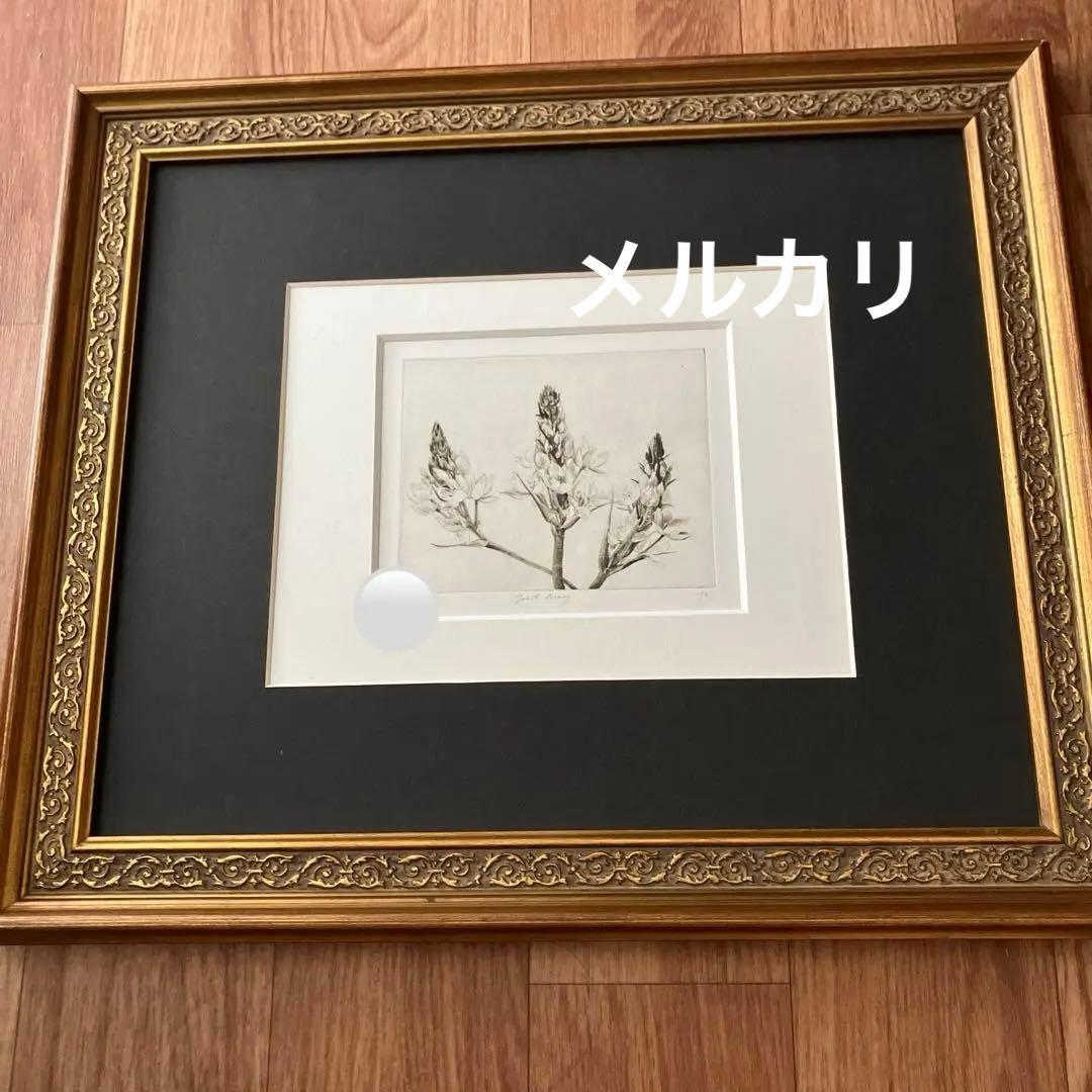 Jakob Demus ダイヤモンドドライポイント技法エッチング　ボタニカル画