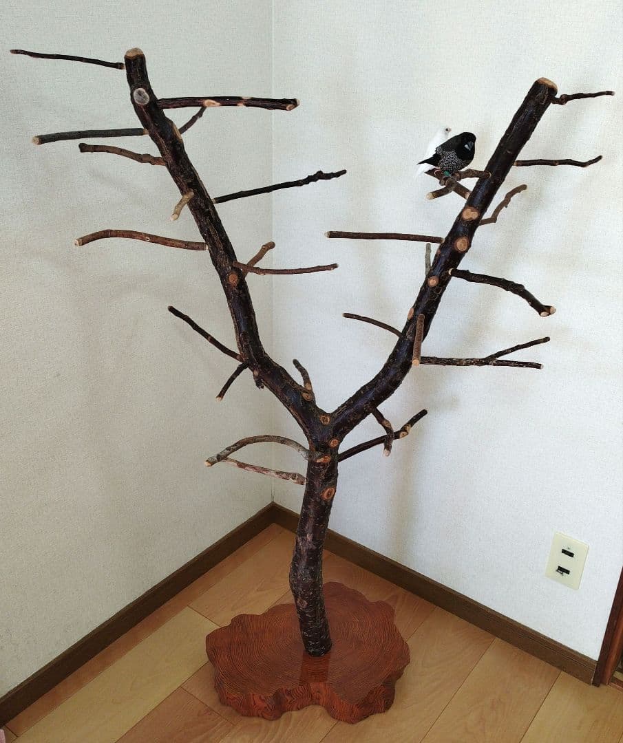 【フィンチ用】梅と桜のフィンチTree バードスタンド