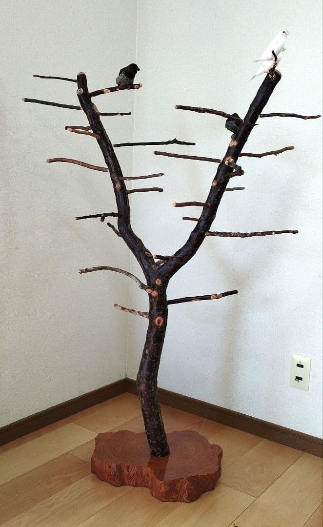 【フィンチ用】梅と桜のフィンチTree バードスタンド