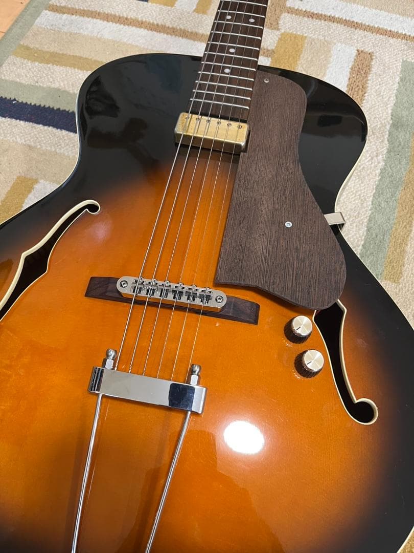 ARIA FA-50GE アーチトップ・ギター（PUモデル）