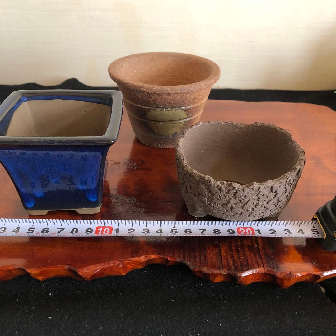 盆栽　山野草　サボテン　多肉植物鉢　4セット(11個)未使用品その他