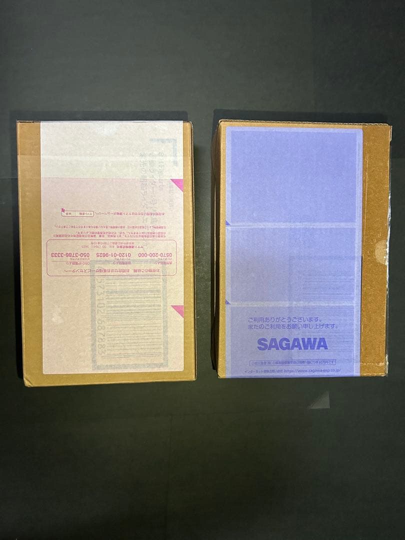 SHFiguarts 真骨頂製法 仮面ライダー 旧1号&1号桜島Ver.