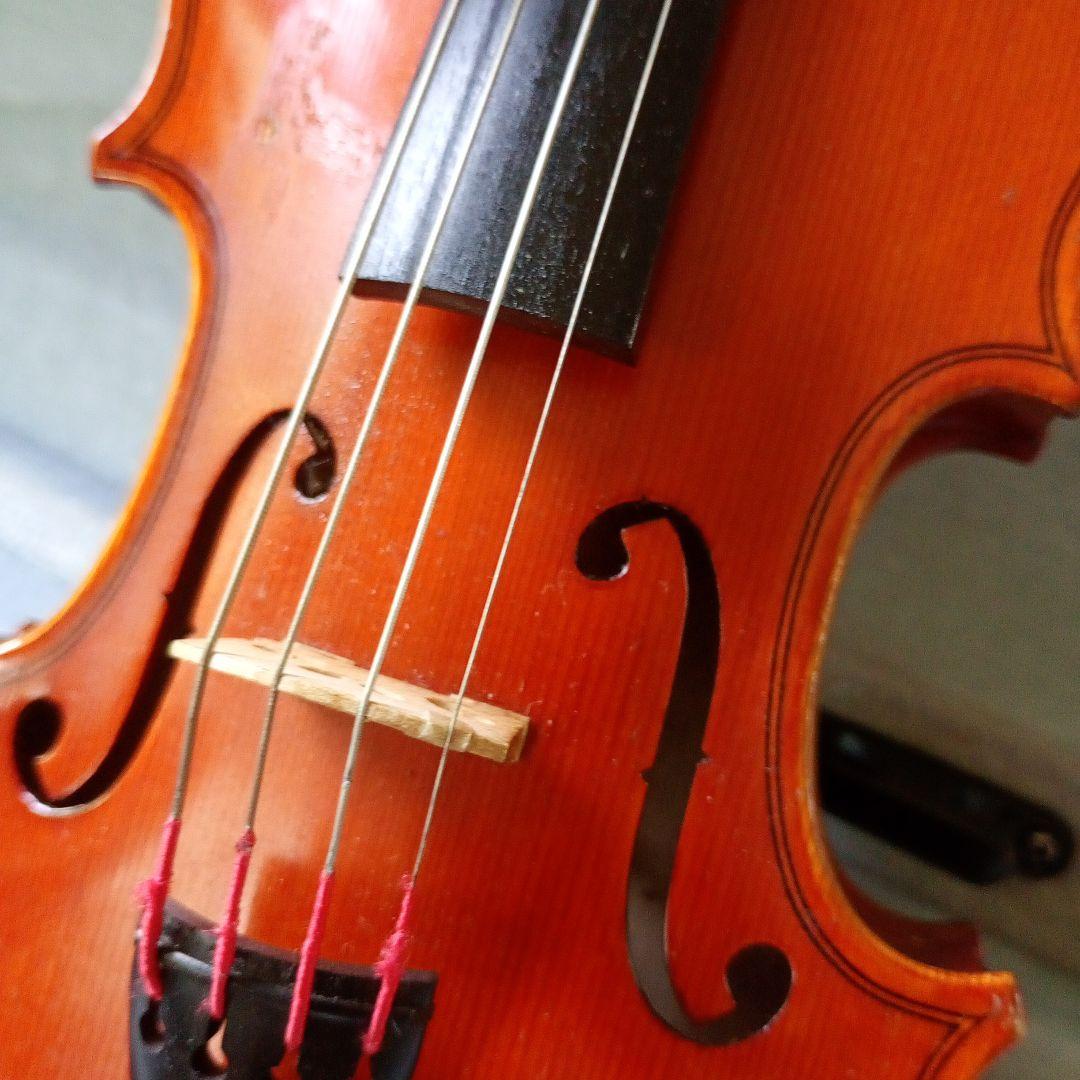 スズキ　310　分数　1/10　2019年　弓　杉藤　SUGITO