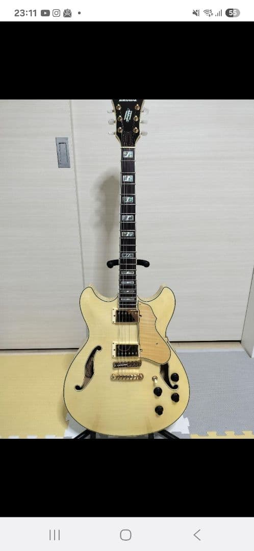 ナチュラル セミアコ アイバニーズ アイバニーズ