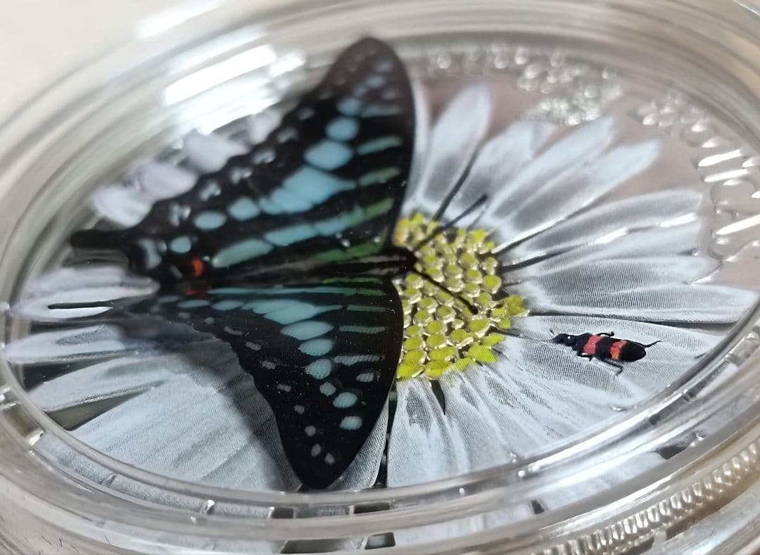 2015年ギニア【コオナガコモンタイマ】3Dバタフライ1000CFAフラン銀貨