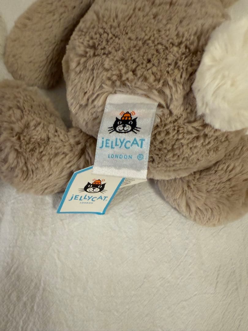 JELLY CATぬいぐるみ Mサイズ　ウサギ2体セット