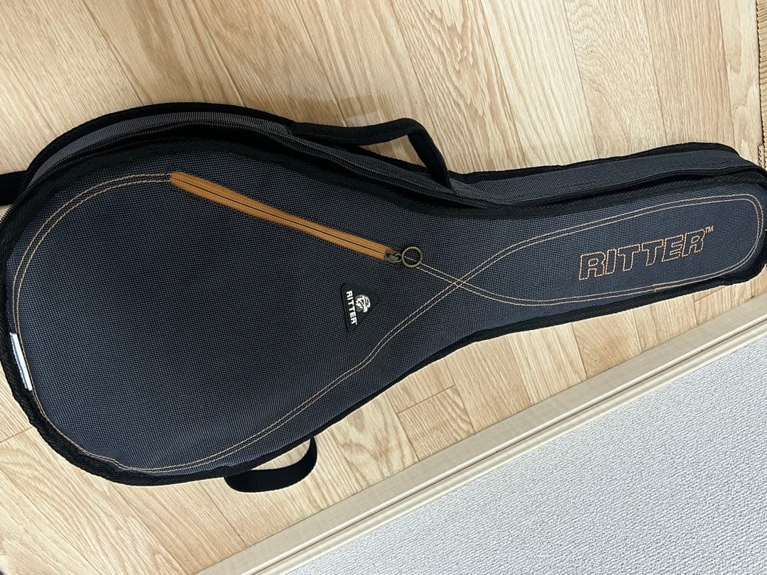 か*ま様 Epiphone EF30ASGH1 マンドリン ケース付