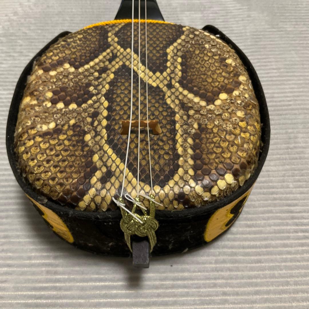 三線本革　ソフトケース　DVD　教本付き