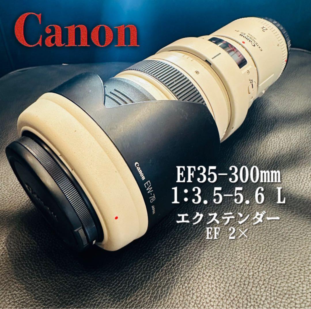 ⭐️美品USED Canon EF 35-350mm ズームレンズ⭐️エクステンダー