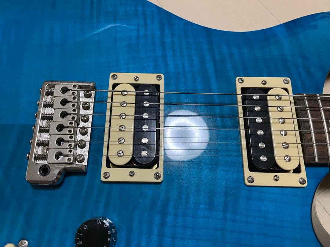 Paul Reed Smith(PRS) – SE CUSTOM 24