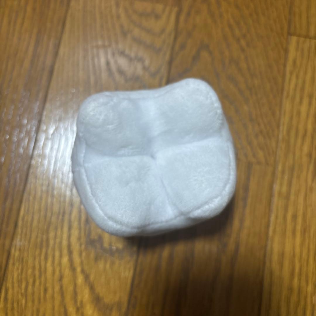 こんにちは！はちゃんです