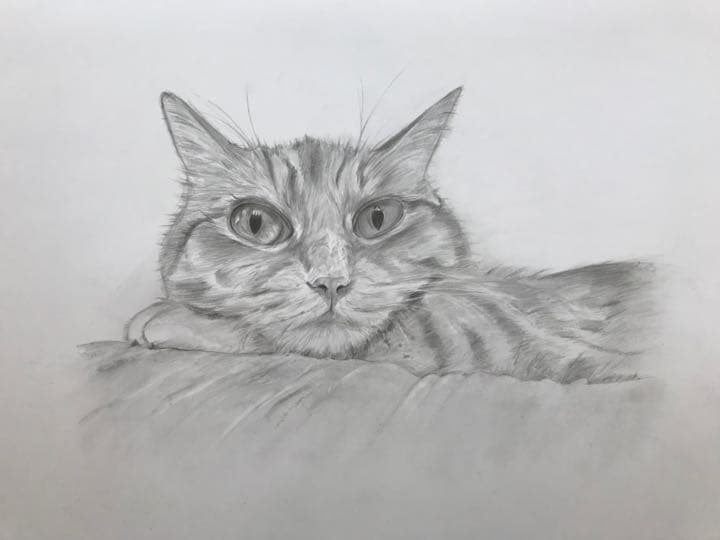 値下げしました！オリジナルのペットの鉛筆画