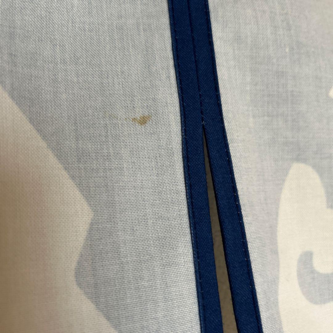 ポケモンセンター限定　ポケモン　暖簾　のれん　百ポケ夜行