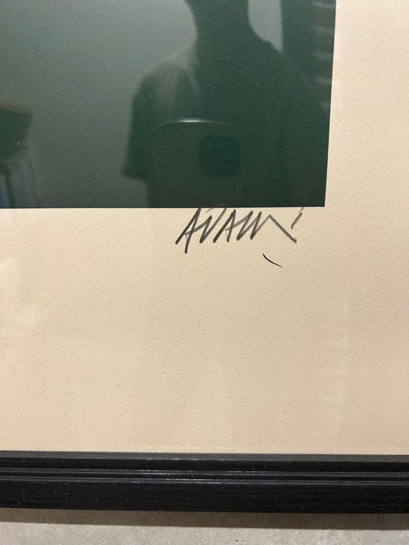 Valerio Adamiヴァレリオ・アダミPortrait Dissimulé