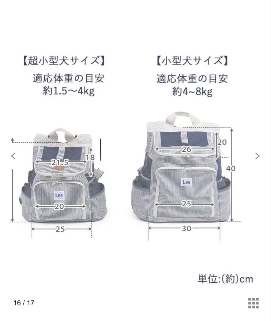 Lee ストライプ キャリーバッグ　【美品】