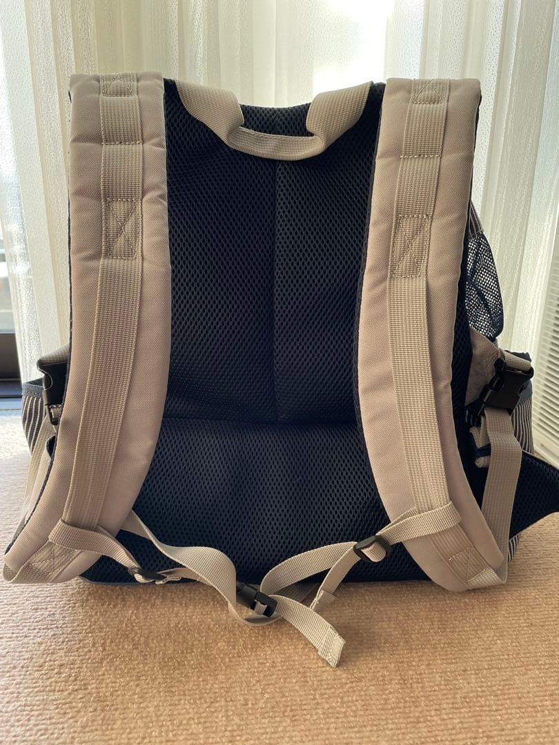 Lee ストライプ キャリーバッグ　【美品】