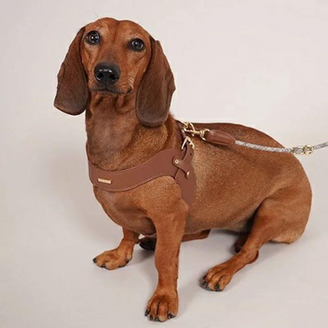 新品　HIGH 5 DOGS 　レザーバックルハーネス　Sサイズ