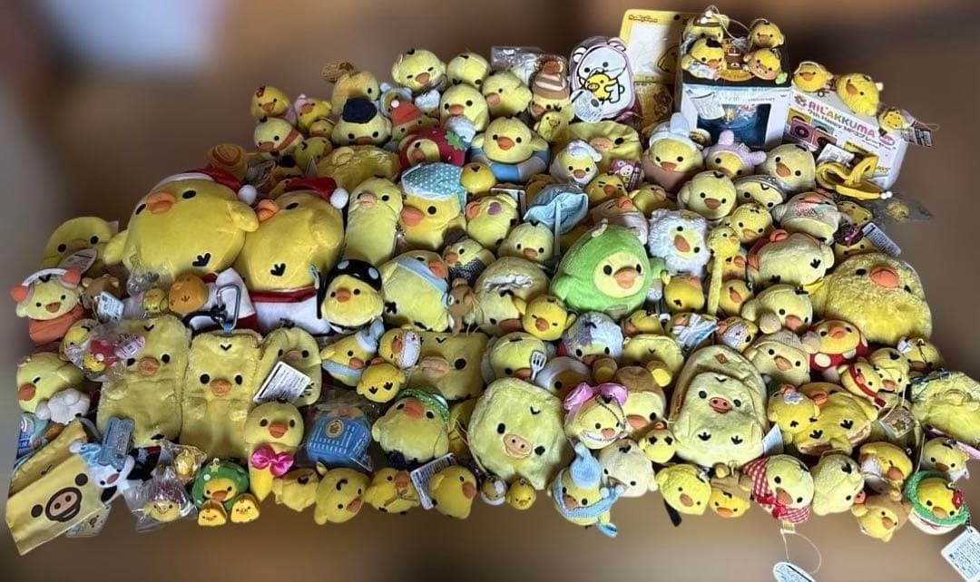 キイロイトリまとめ売り