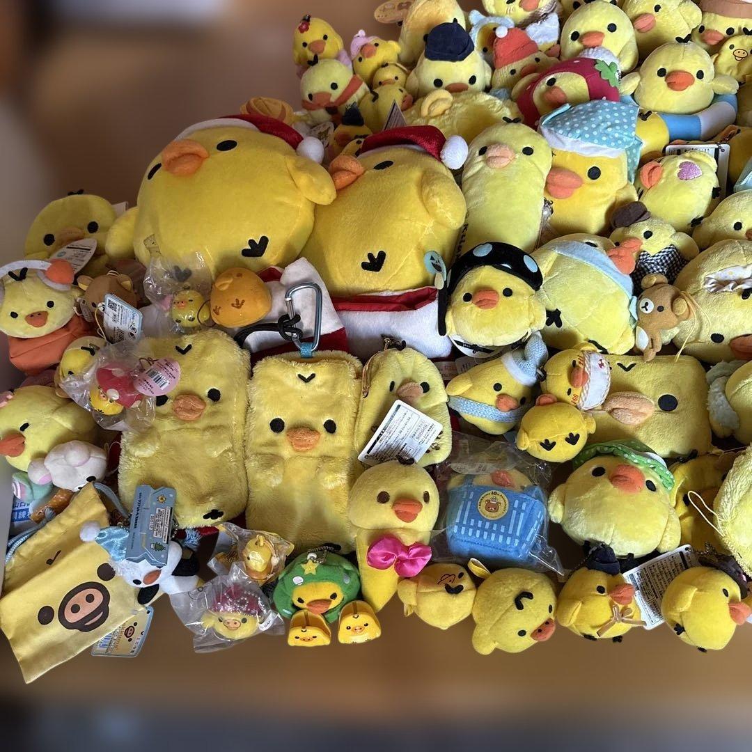 キイロイトリまとめ売り