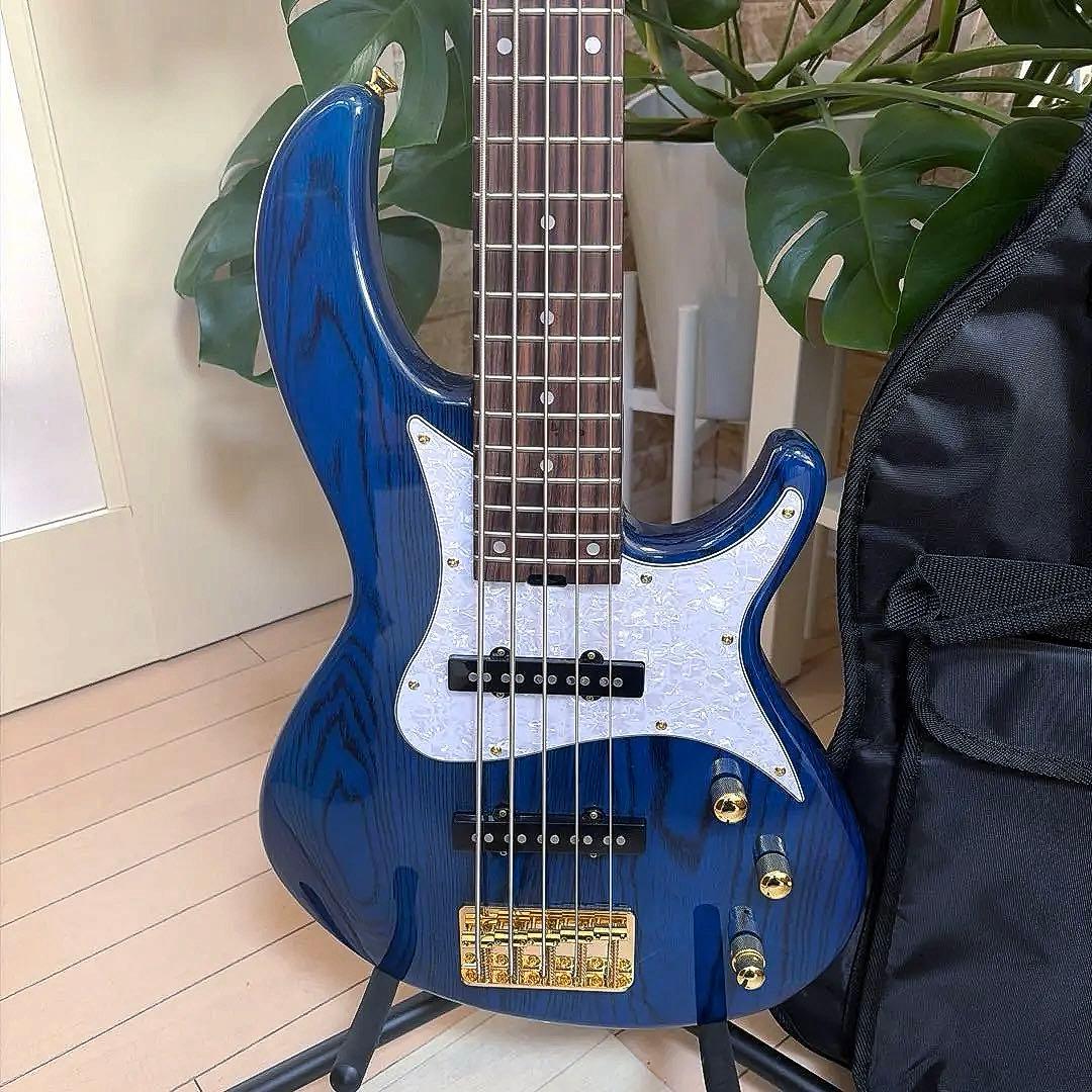 ❤️AriaProII RSB-42AR 5弦ベース 美品 チューナーおまけ