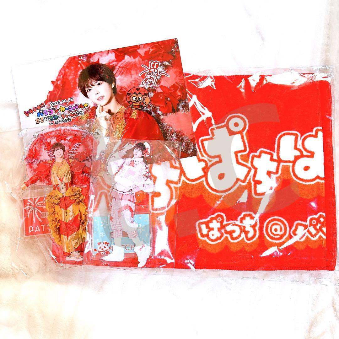 パンダドラゴン 日本武道館 2026 ぱっち グッズ 4点セット