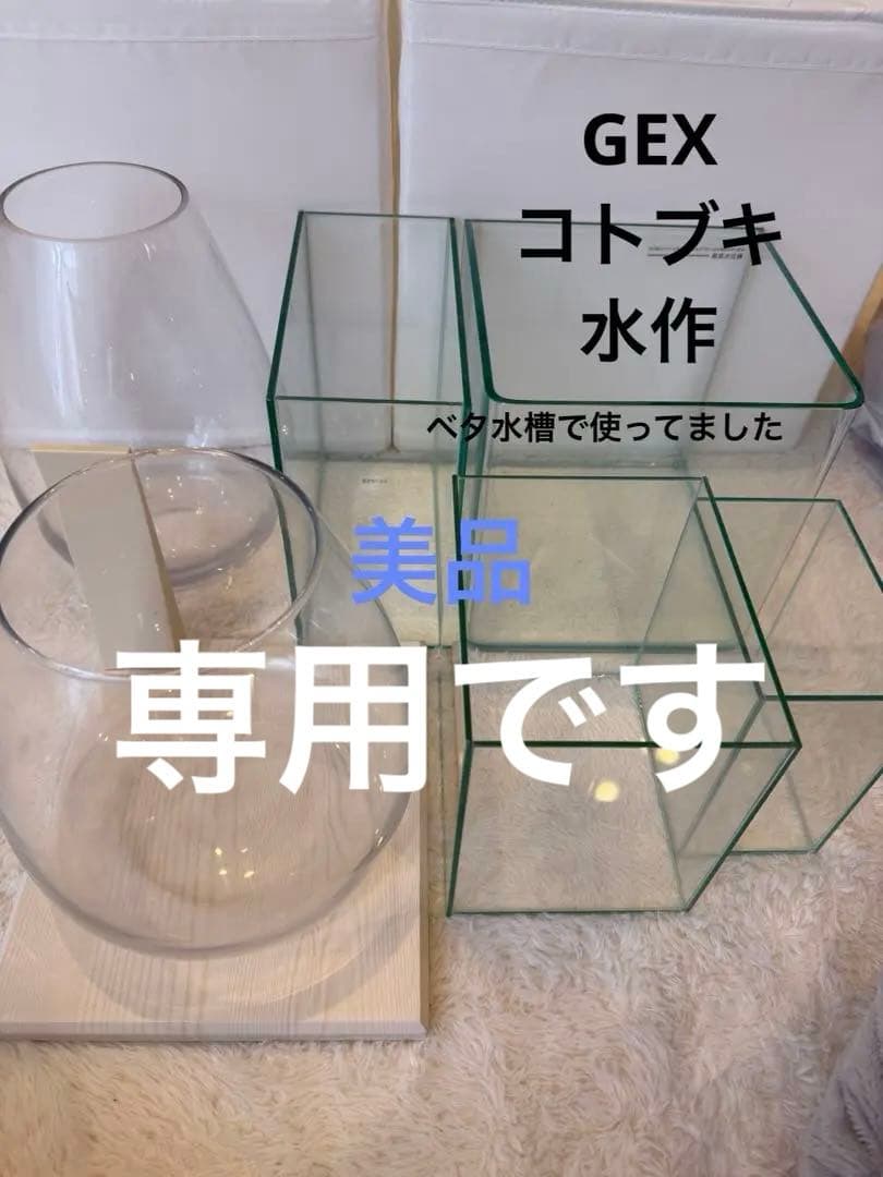 美品ガラス水槽 複数 グラステリア レグラス GEX コトブキ 水作 ベタ水槽