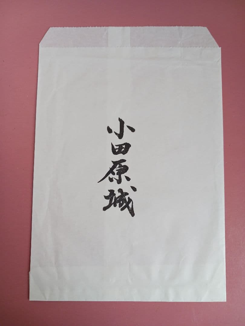 ①★販売初日版☆1519枚限定！！★小田原城☆御城印☆『北条早雲公顕彰500年』