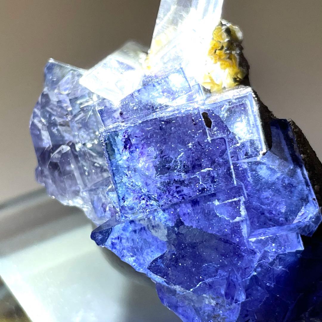 中国 ヤオガンシャン産 フローライト/水晶 共生 鉱物標本