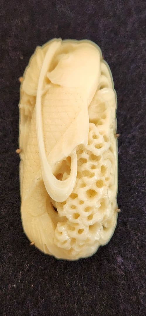 帯留め‥白珊瑚