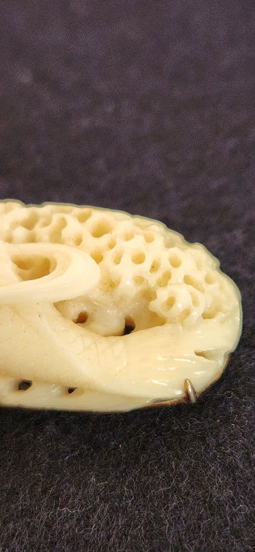 帯留め‥白珊瑚