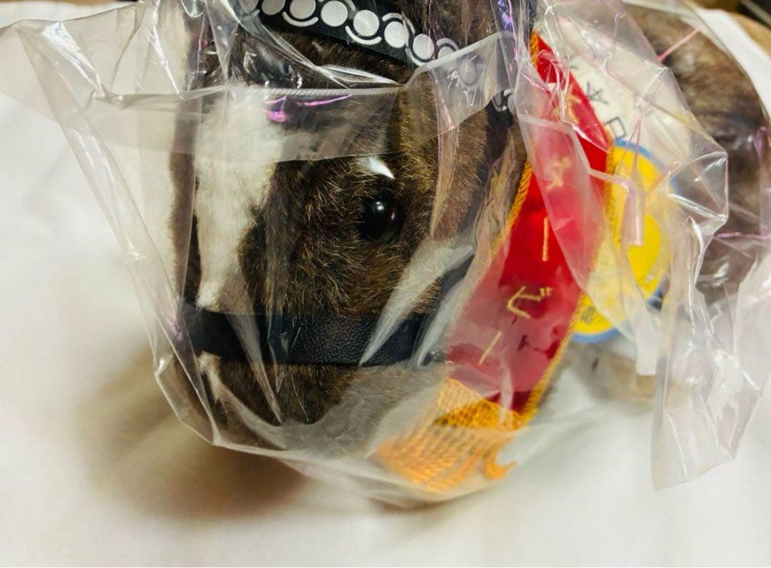 ウオッカ 日本ダービー　ぬいぐるみ　AVANTI Vodka