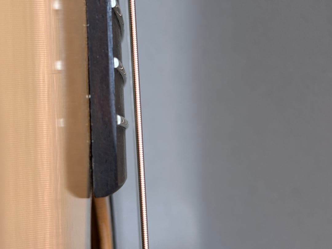 【美品】Seagull Artist Cameo CW Deluxe QⅡ