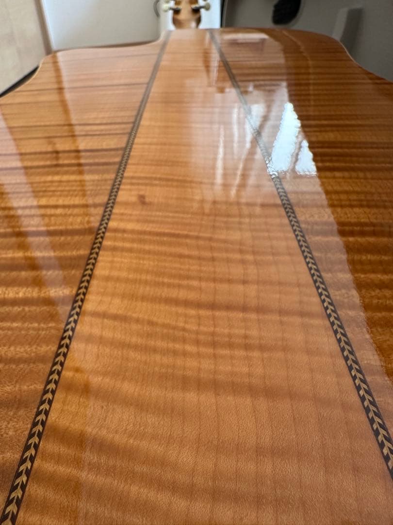 【美品】Seagull Artist Cameo CW Deluxe QⅡ