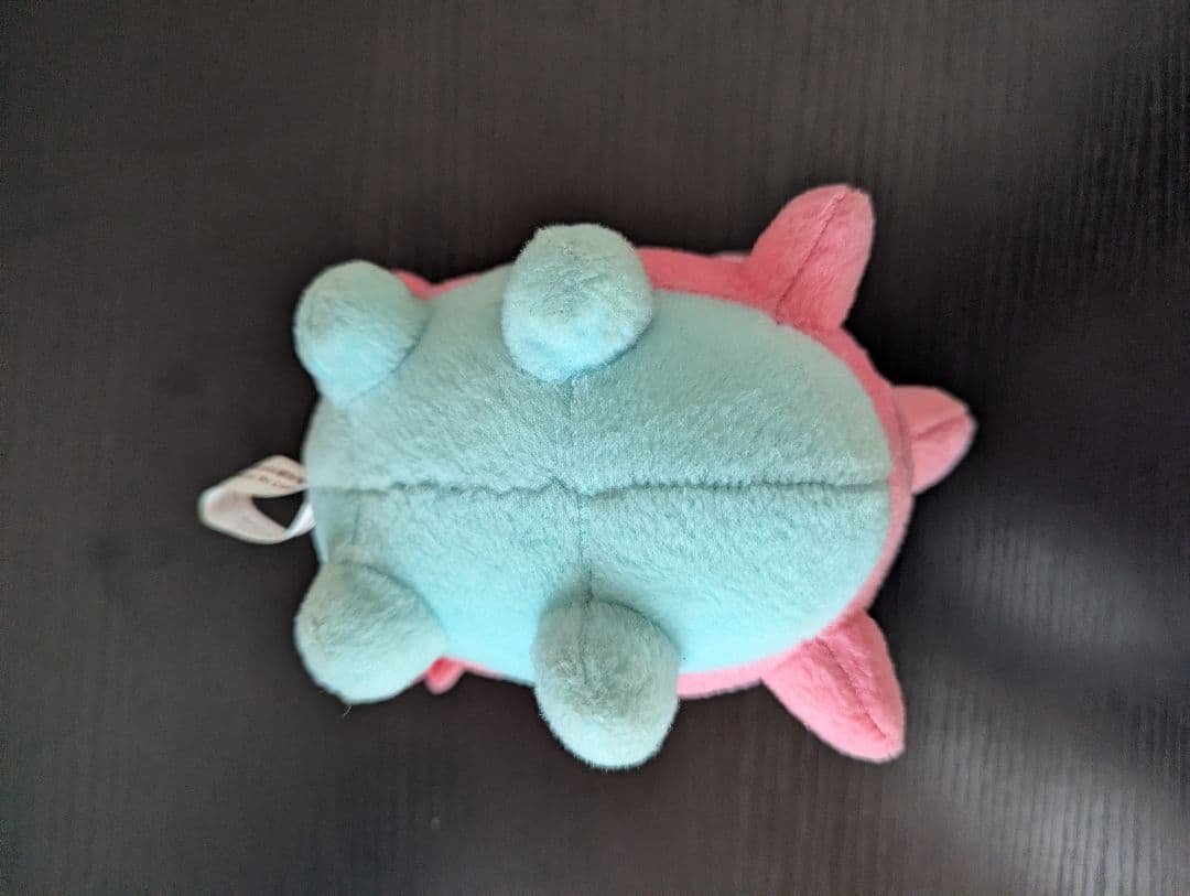 ポケモン ぬいぐるみ サニーゴ ポケドール 希少 激レア