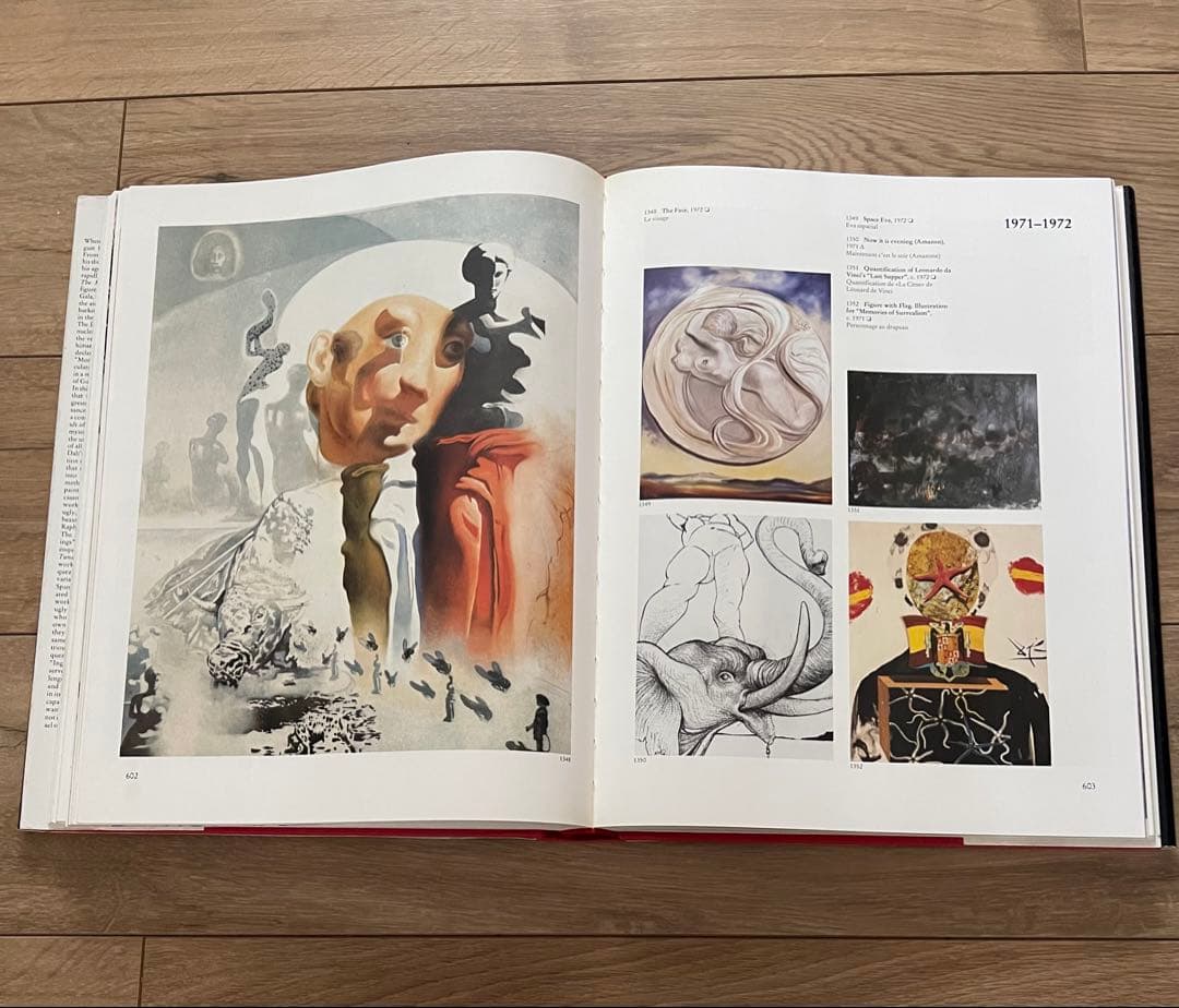 DALÍ The Paintings ダリ 画集全2巻