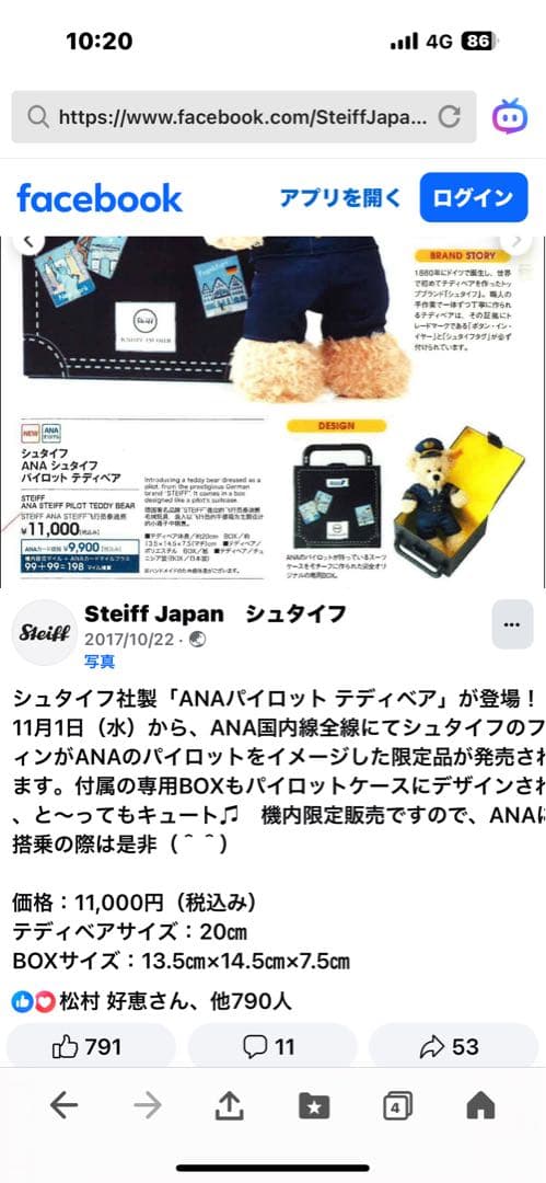 シュタイフテディベア新品ANAパイロットトランク付Fynn