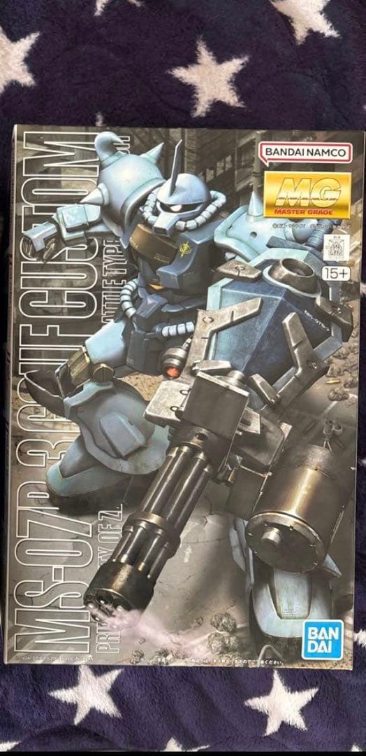 MG グフ+グフカスタム