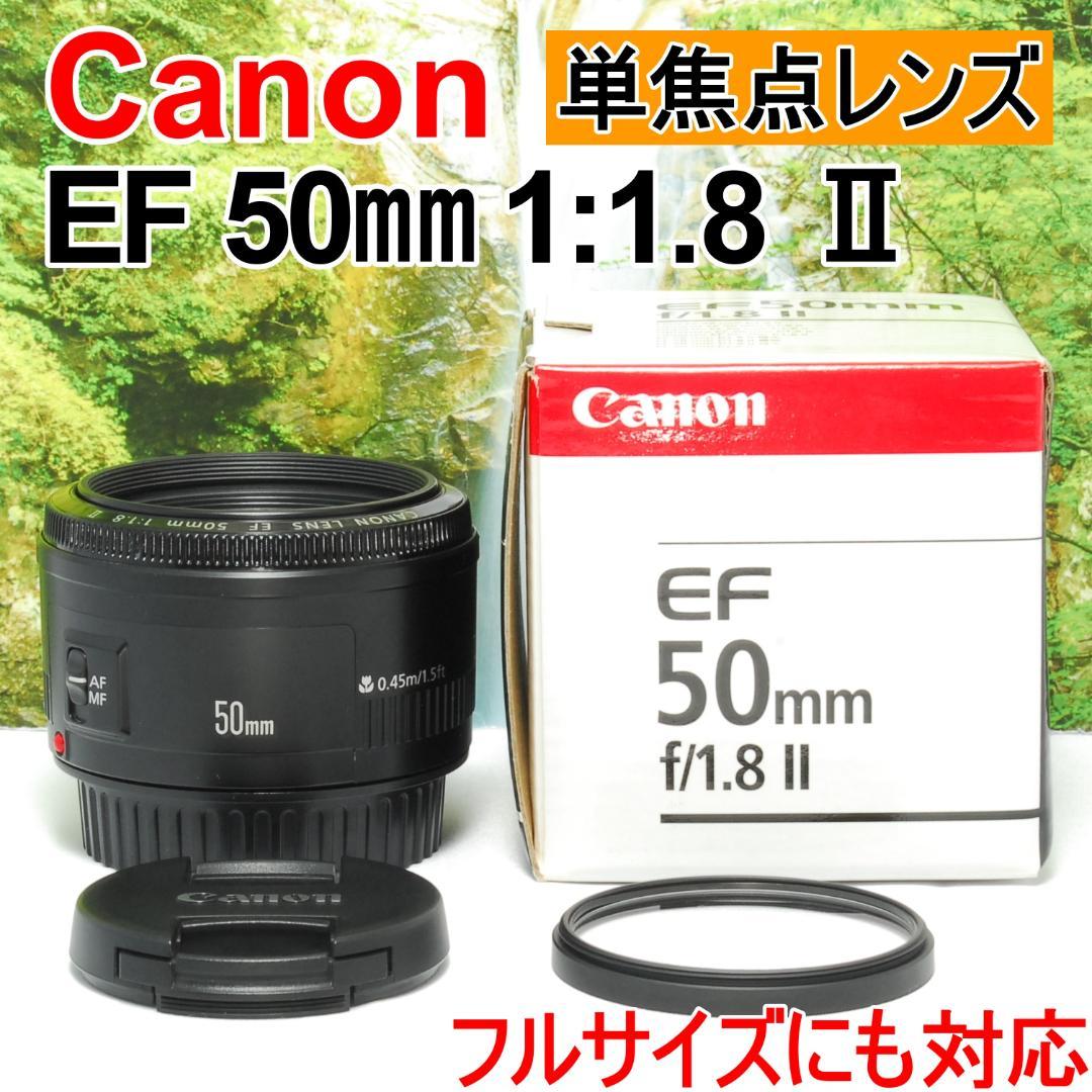 ✨Canon EF 50㎜✨単焦点レンズ✨1本はもっておきたい✨ボケみを堪能