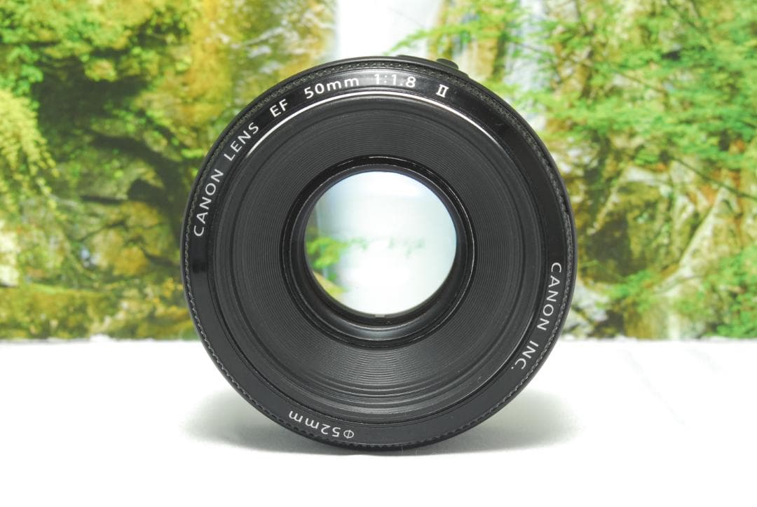 ✨Canon EF 50㎜✨単焦点レンズ✨1本はもっておきたい✨ボケみを堪能