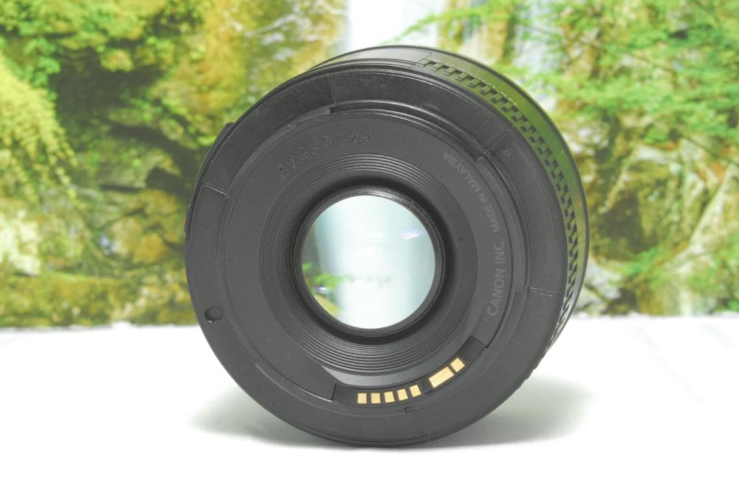 ✨Canon EF 50㎜✨単焦点レンズ✨1本はもっておきたい✨ボケみを堪能