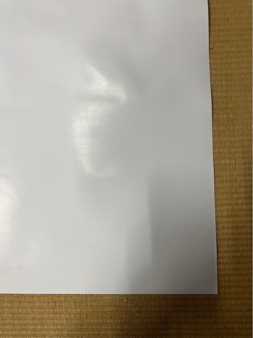 マ*コ様 【24】トトロ　ポスター　激レア　希少