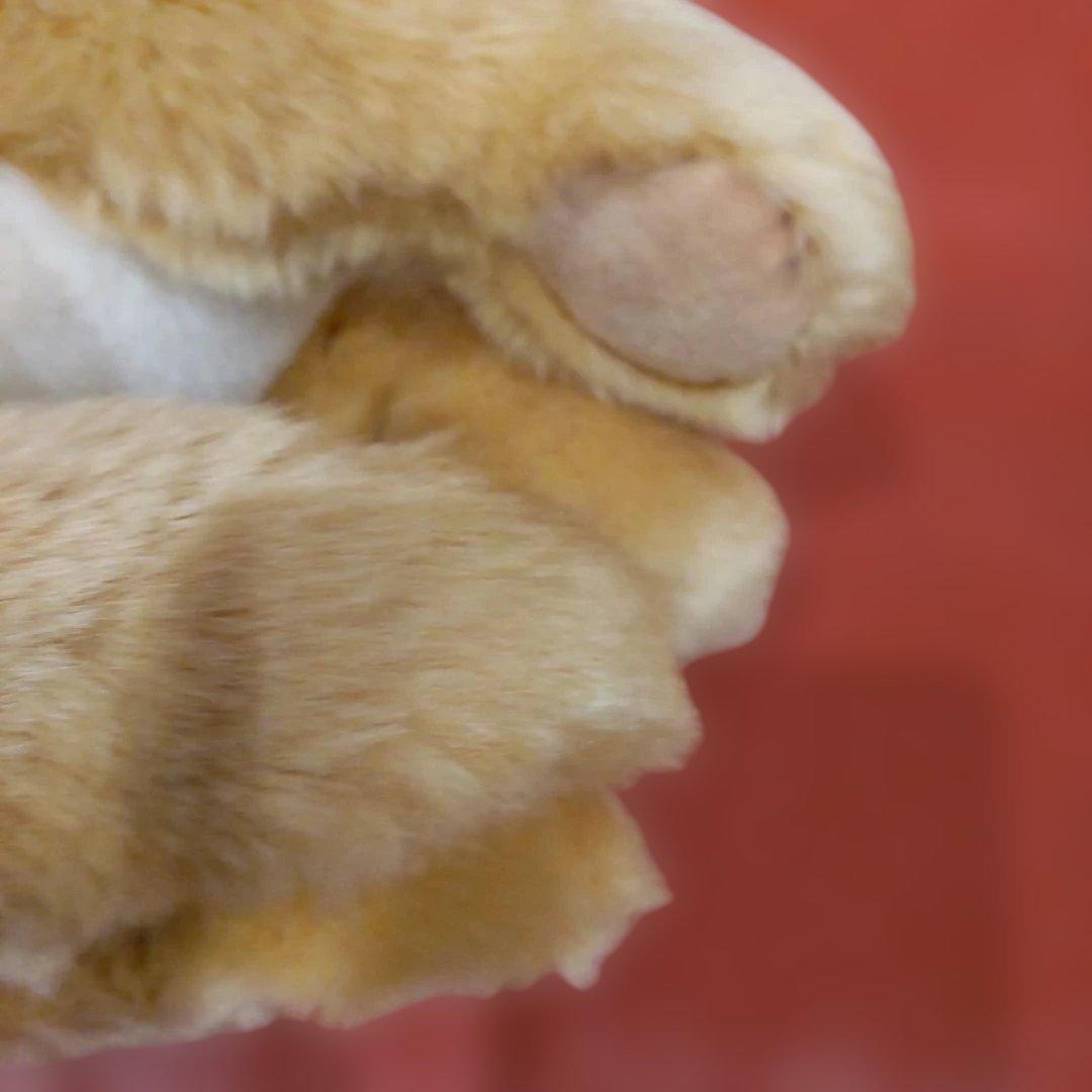 ライオンのレオ　シュタイフ