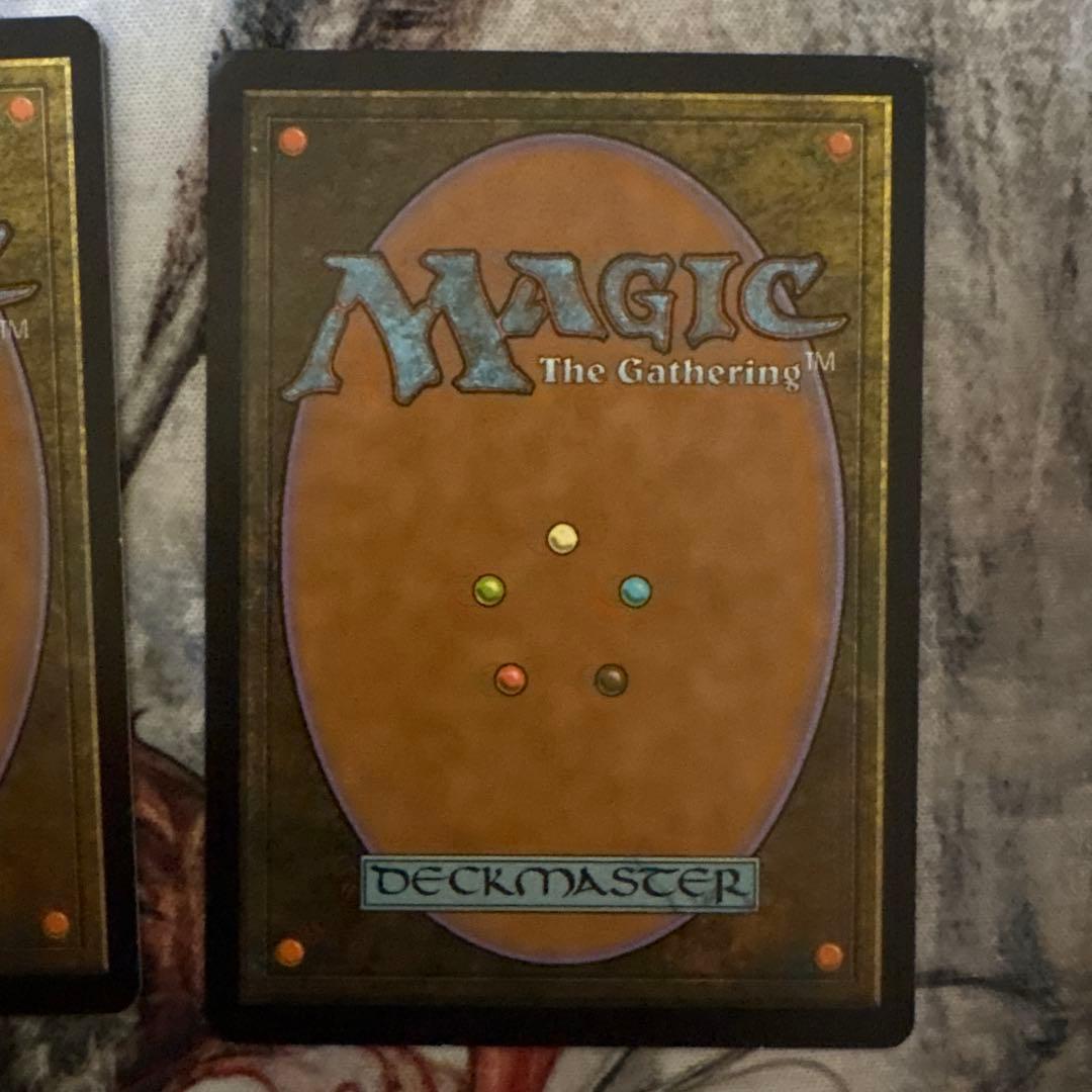 霧深い雨林 3枚セット