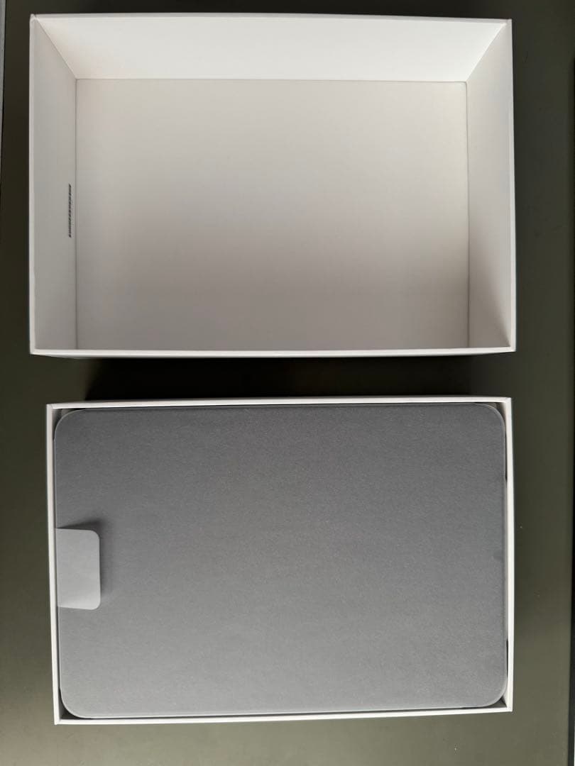 iPad mini 6 Wi-Fi+Celluar 256GB スペースグレー