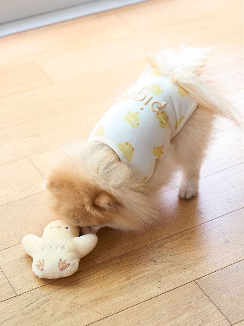 ジェラートピケ　ひよこ柄プルオーバー　Lサイズ