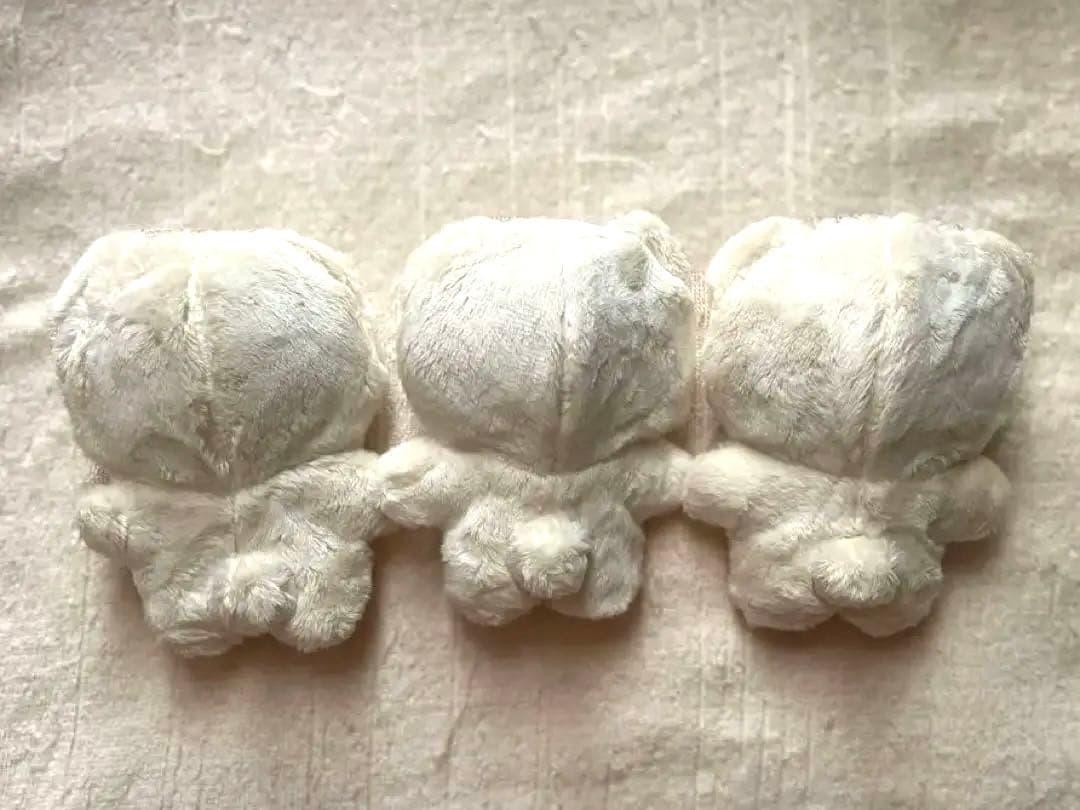 【あんスタ】 仙石忍 いつぬい バラ売り可