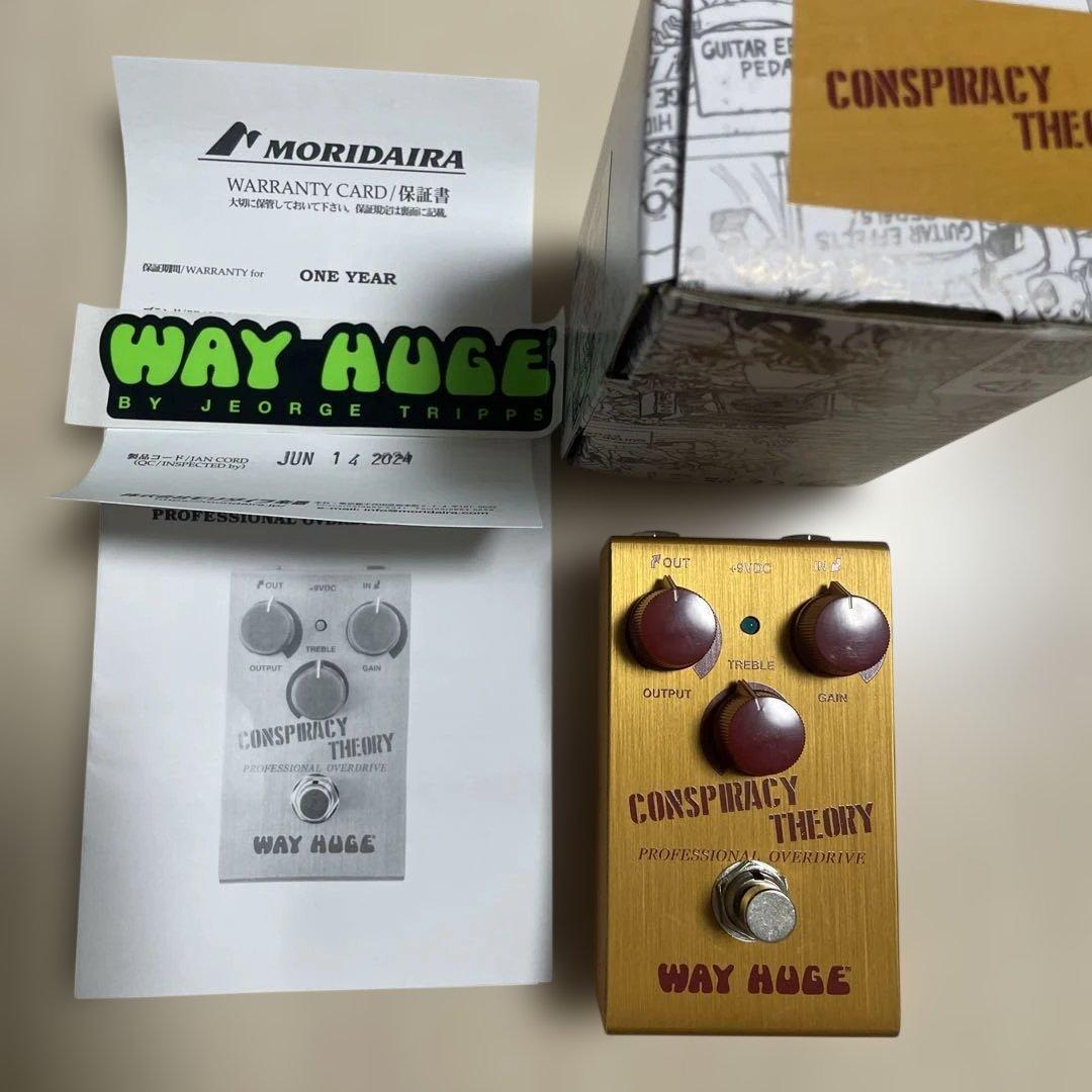 【WAY HUGE】WM20 CONSPIRACY THEORY（モリダイラ）